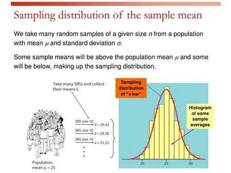 sampling distribution statistics